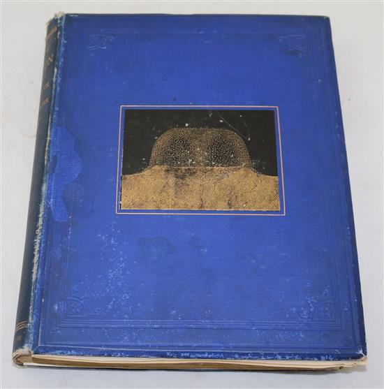 Nasmyth, James Hall and Carpenter, James - The Moon: Considered as a Planet, a World, and a Satellite,